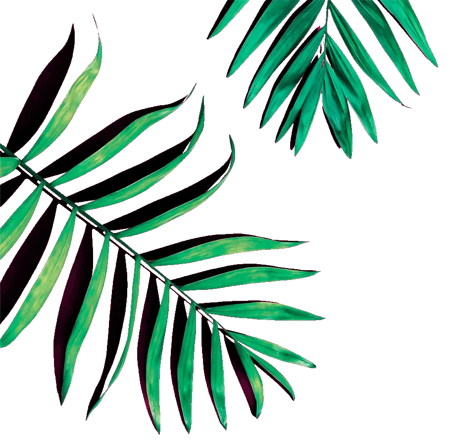 Partially visible green leaves on a pink background