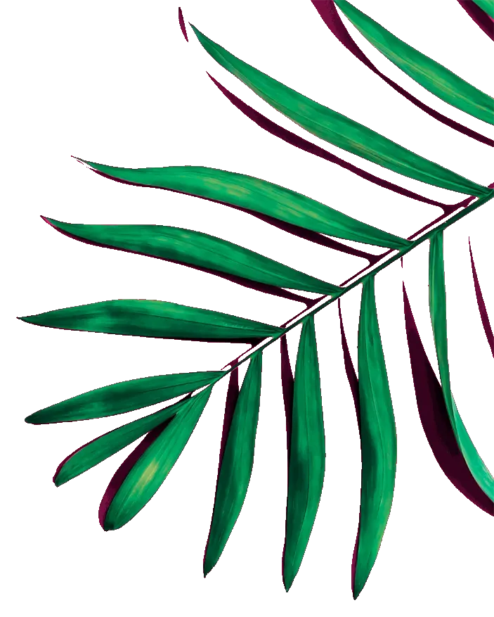 Partially visible green leaves on a pink background