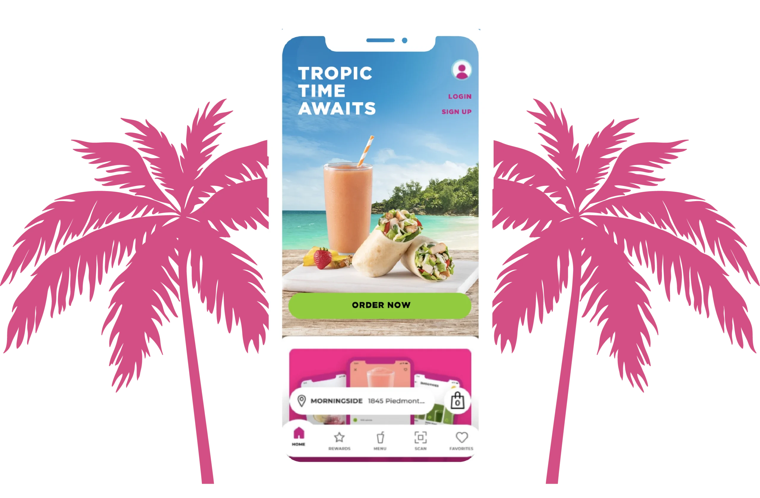 A mobile phone displaying the Tropical smoothie cafe app on screen with trees in the background