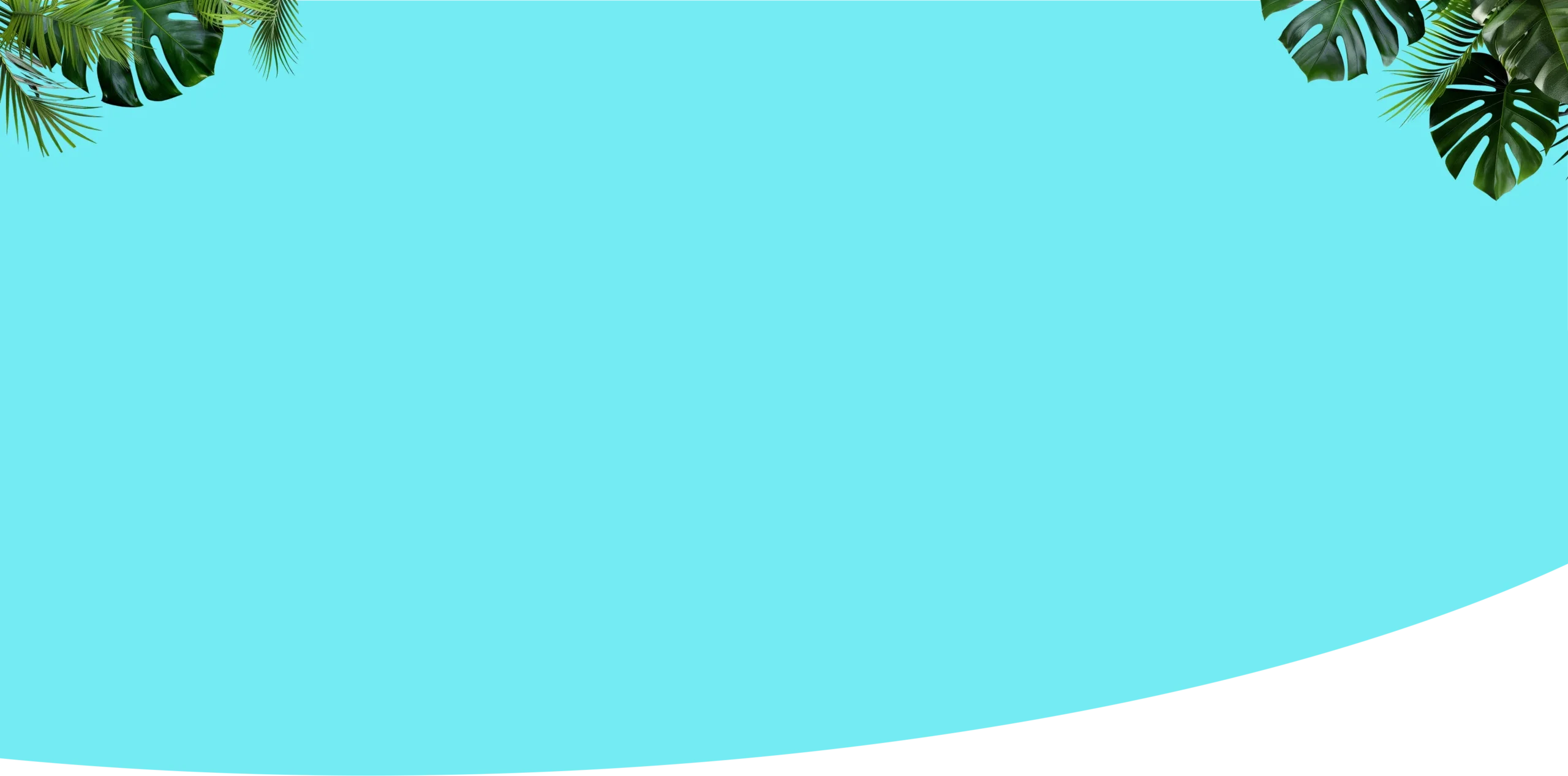 Green leaves partially visible in the top corners with a sky blue background